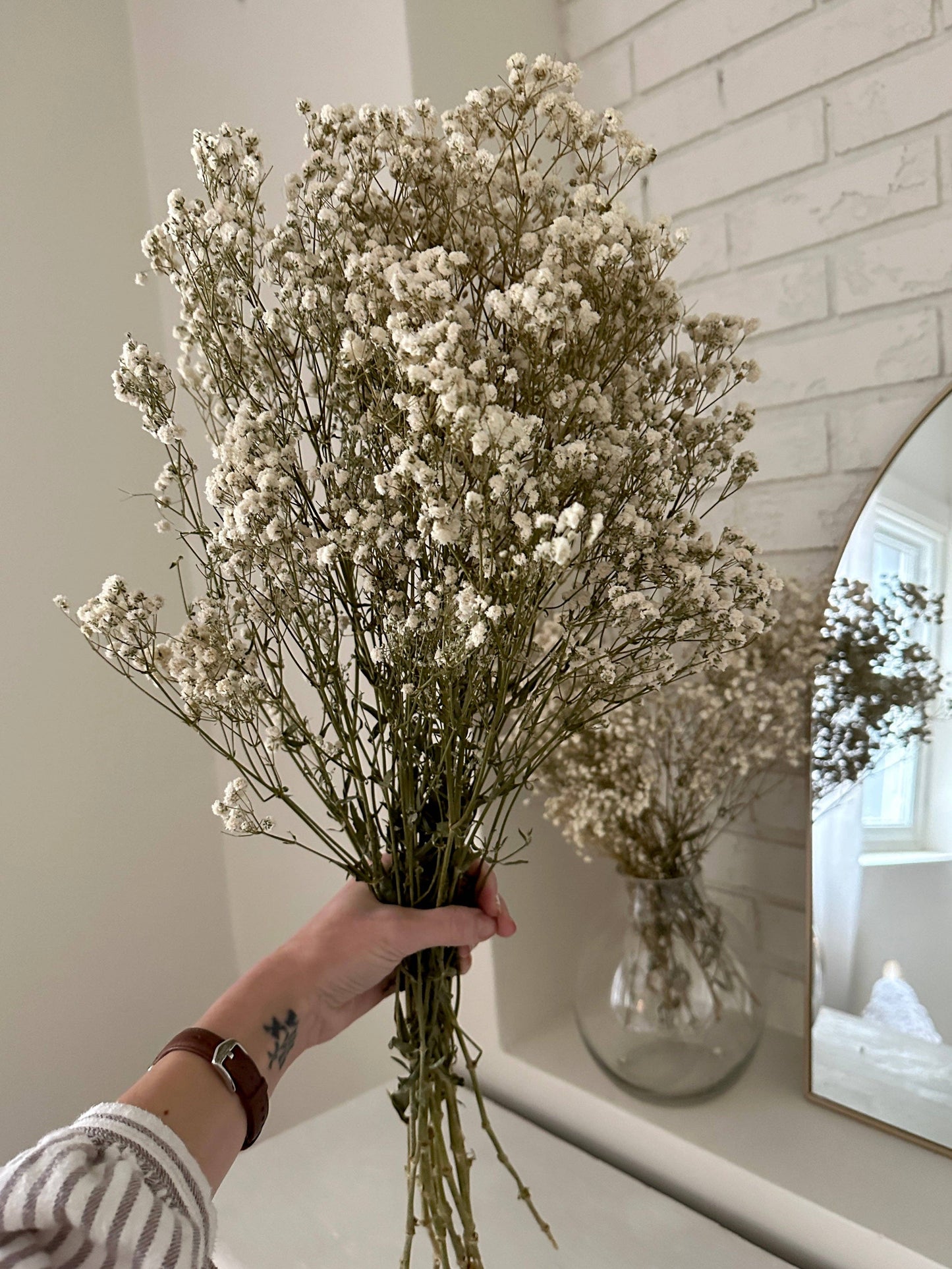 Natural Preserved Baby’s Breath