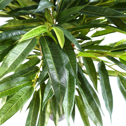 Artificial Longifolia Ficus Tree