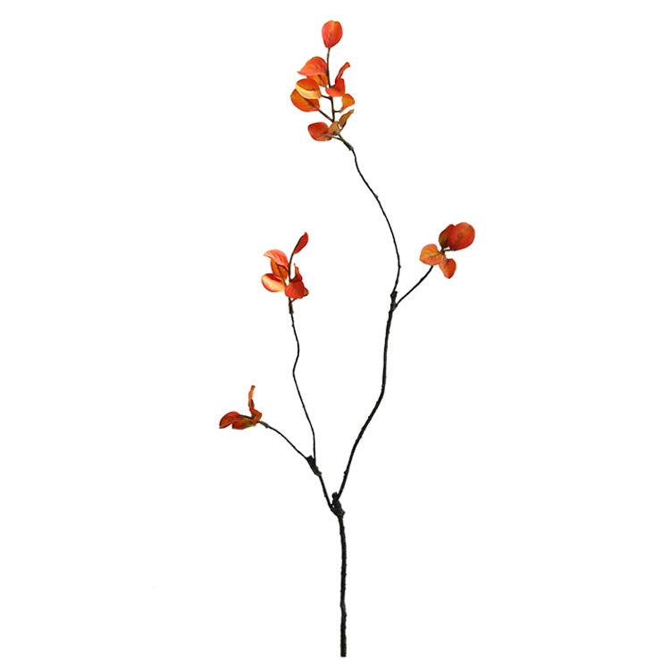 Red Vine Leaf Stem | Autumn Red