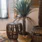 Moroccan Palm Tree | Medium