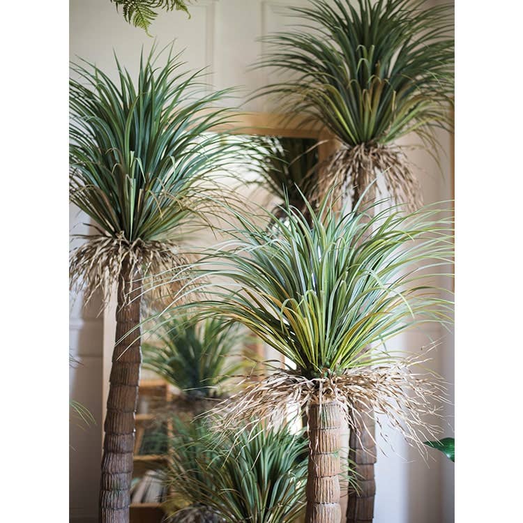 Moroccan Palm Tree | Medium