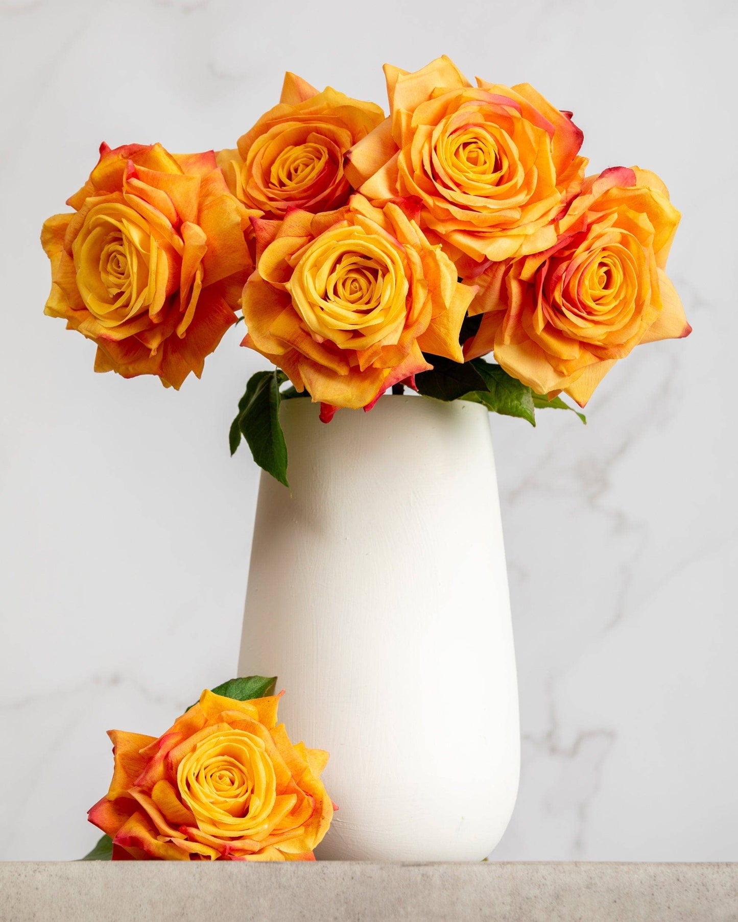 Orange Duchess Rose Stem