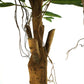 Artificial Longifolia Ficus Tree