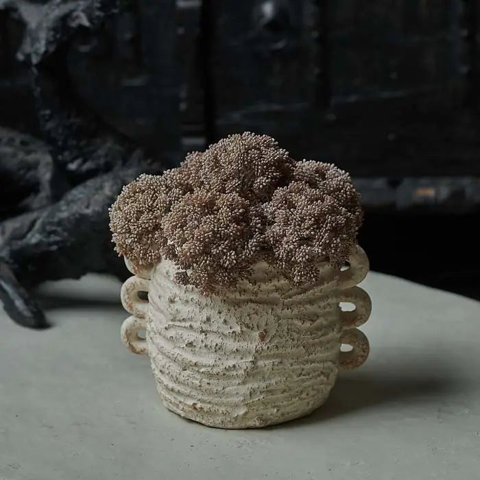 Lira Vase