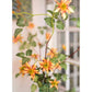 German Clematis Flower Stem in Orange