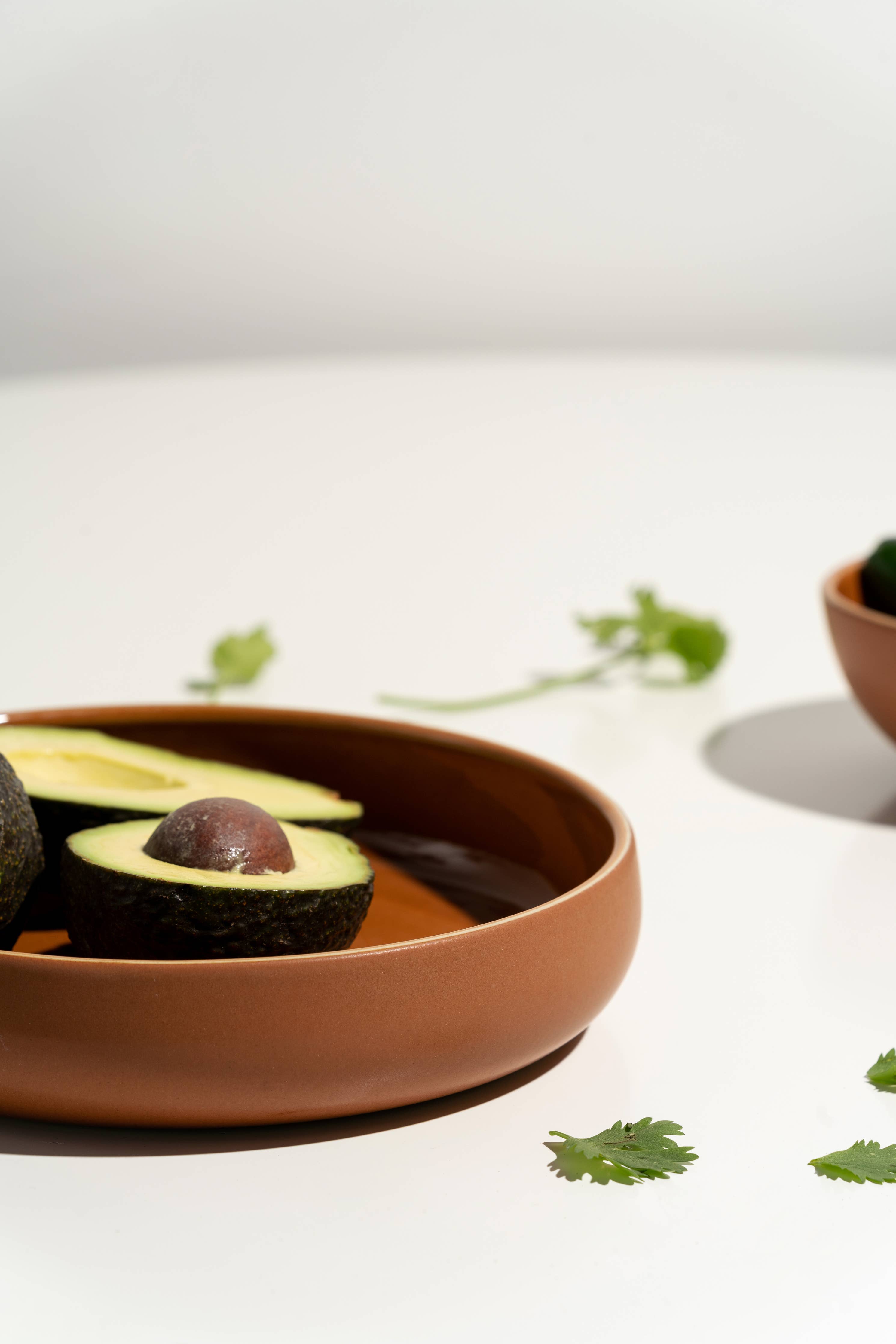 Edan Pasta/Salad Plate | Matte Terracotta / Shiny Terracotta