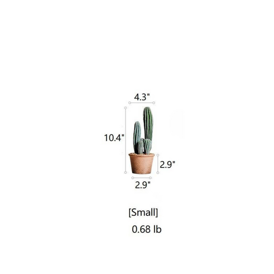 Columnar Cactus | Small