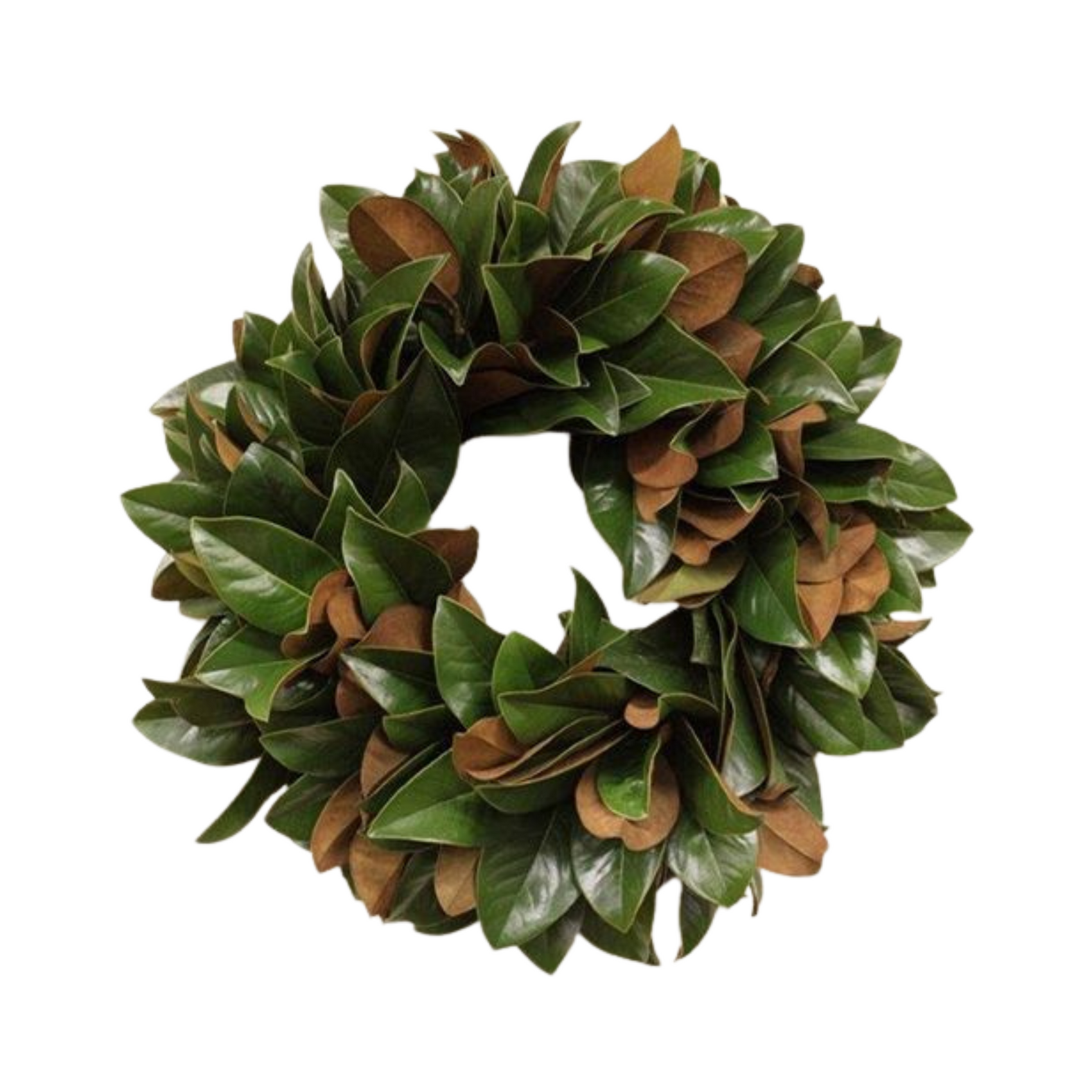 Fresh Magnolia Wreath | 30"