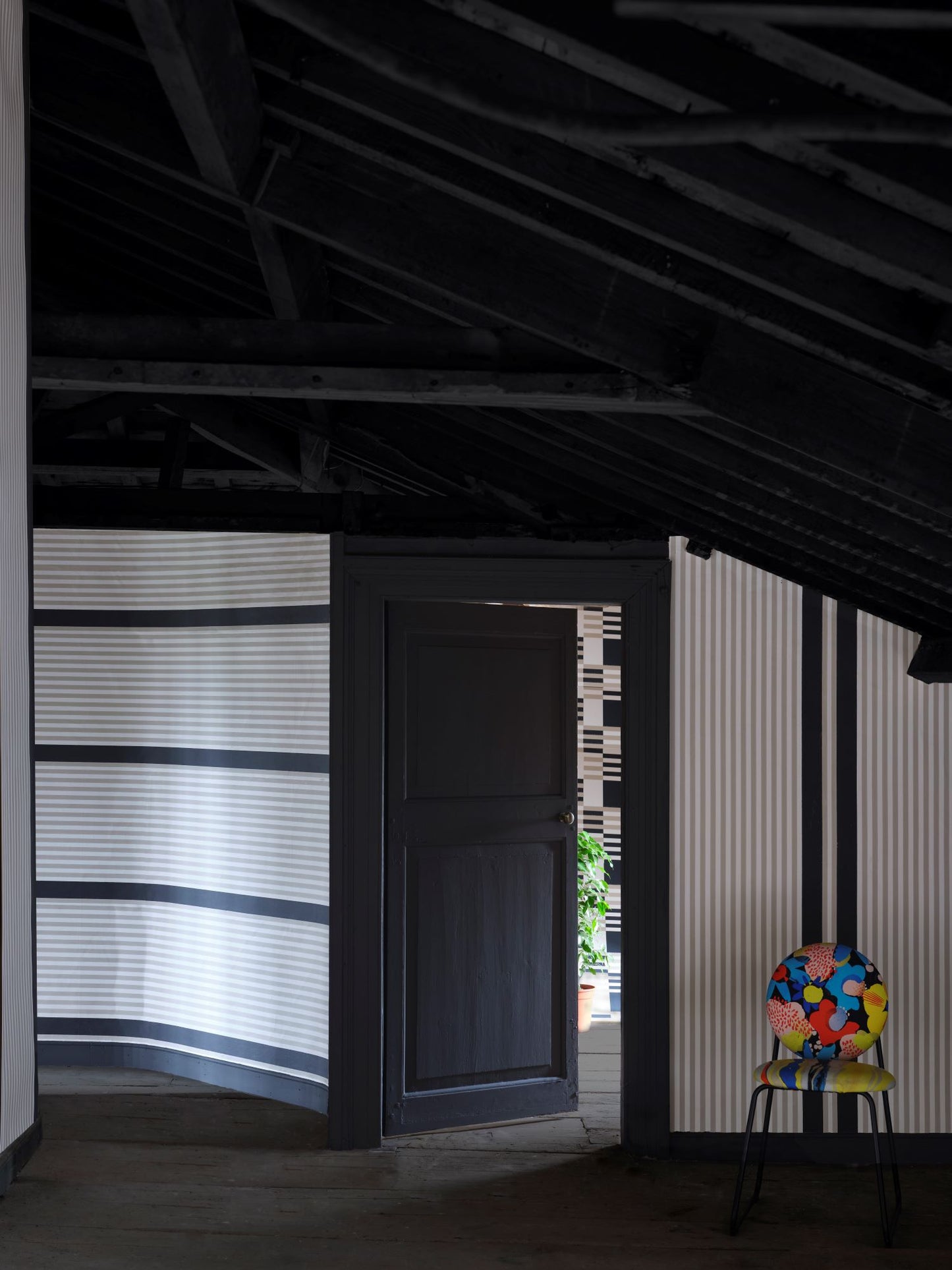 Carte Blanche: Liquorice No.CB10