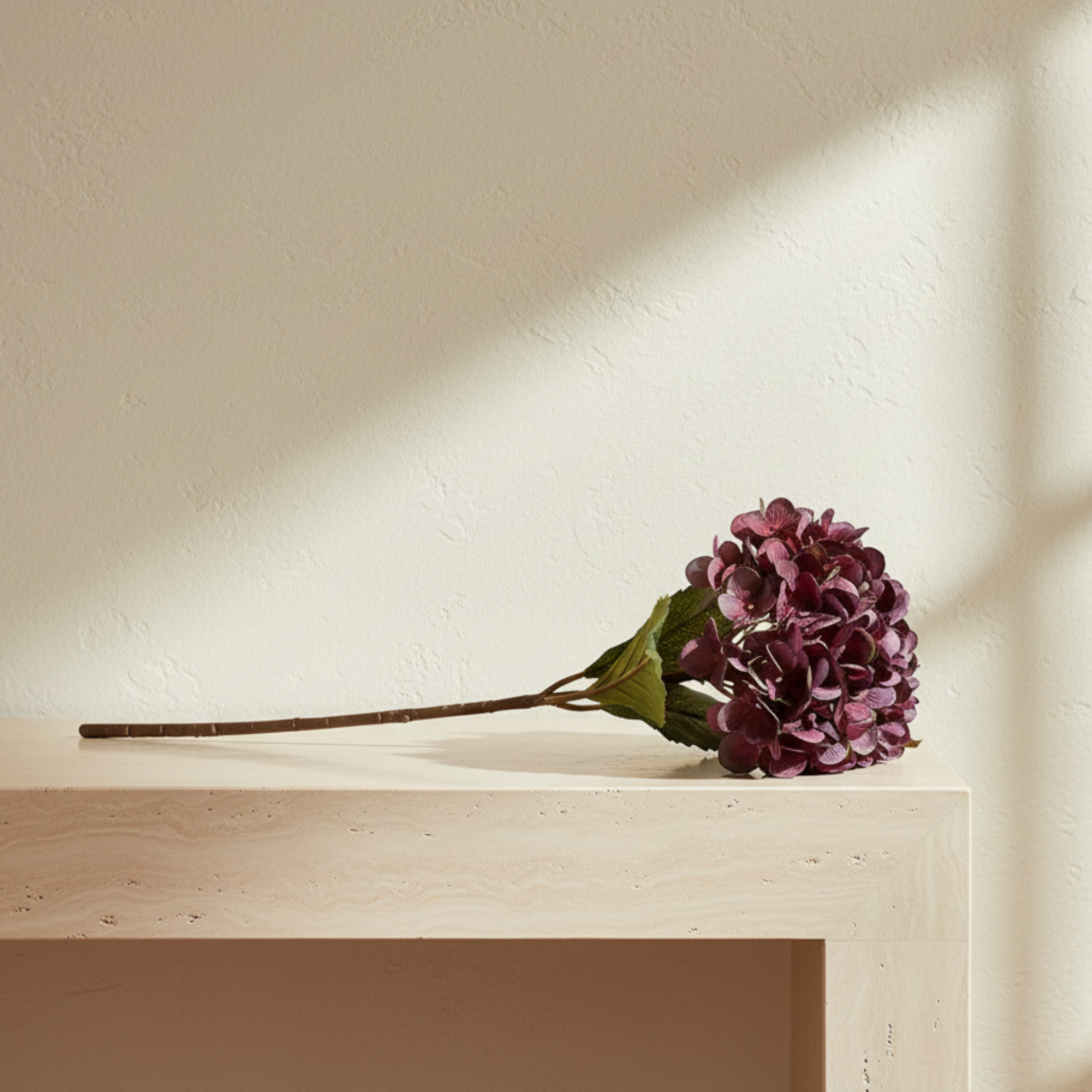 Hydrangea Damson Stem