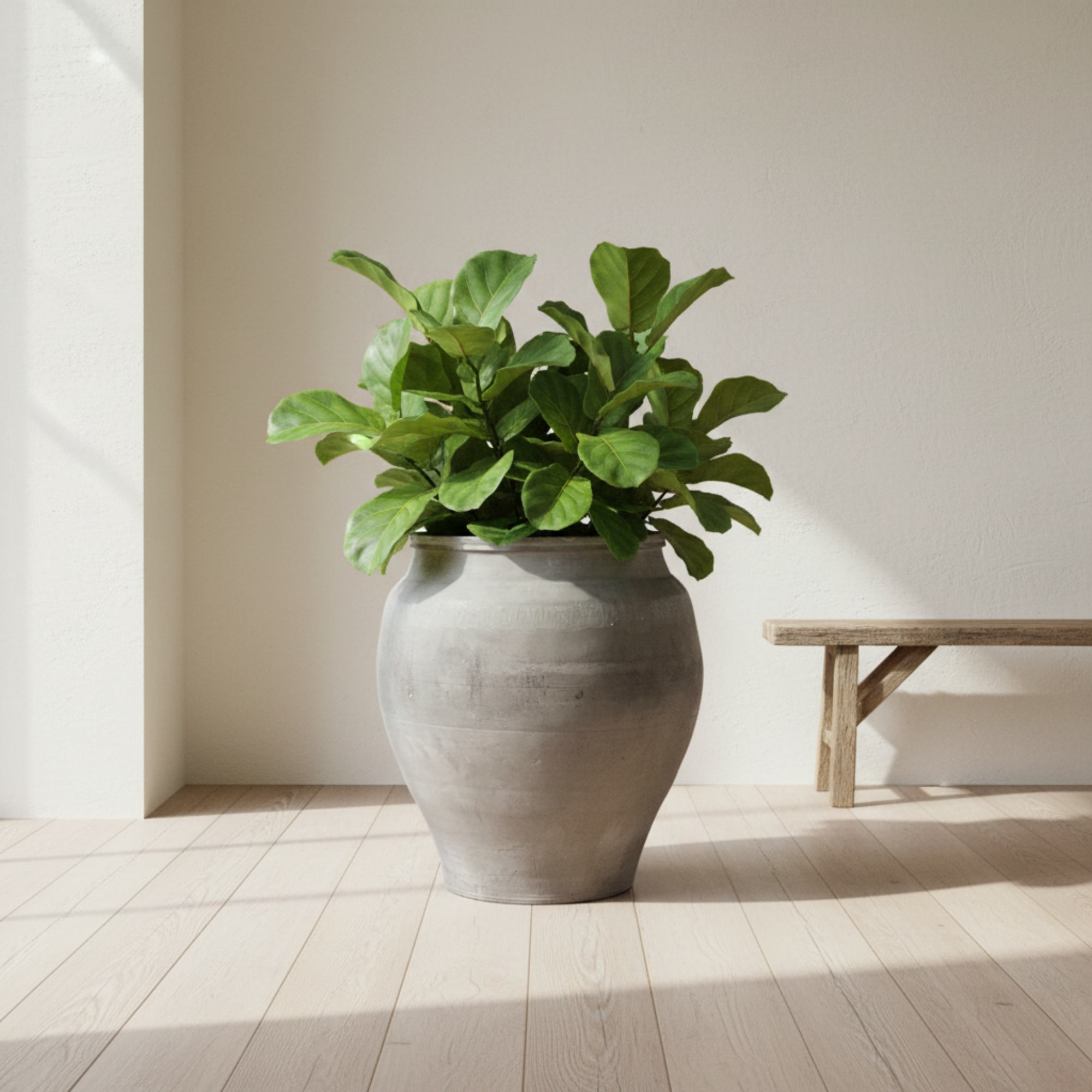 Siheyuan Water Pot | Vintage Chinese Clay Planter