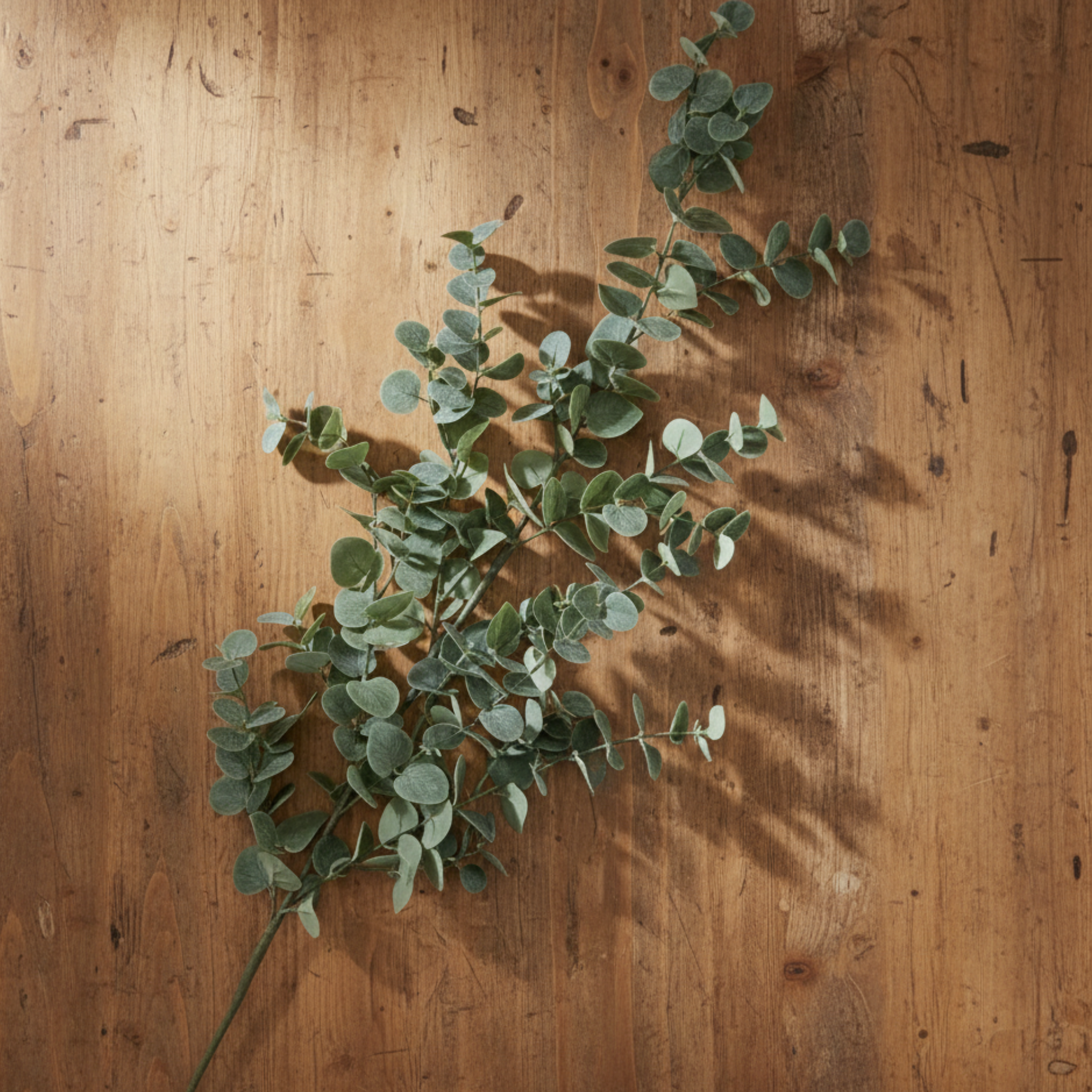 Grand Eucalyptus Spray | Grey/Green