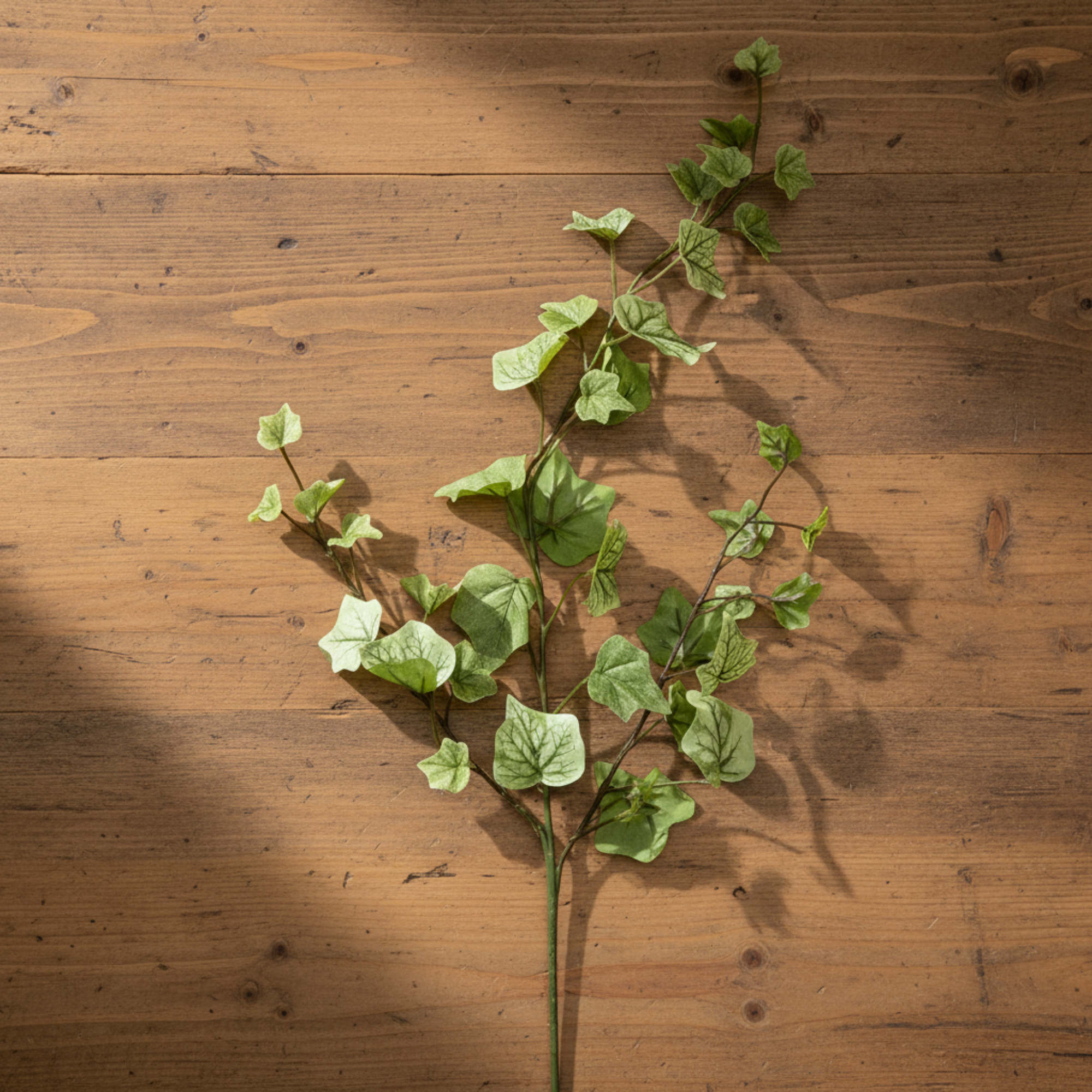 English Ivy Stem | Light Green