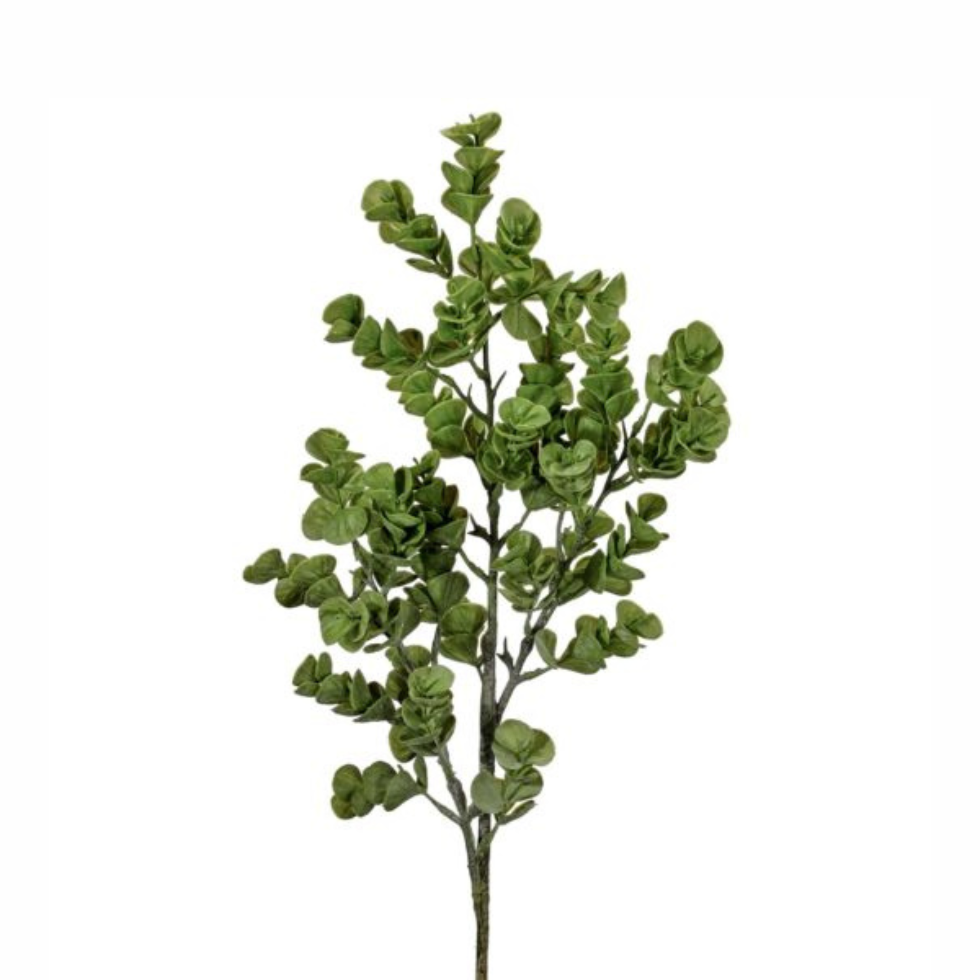 Triple Salal Leaf Spray