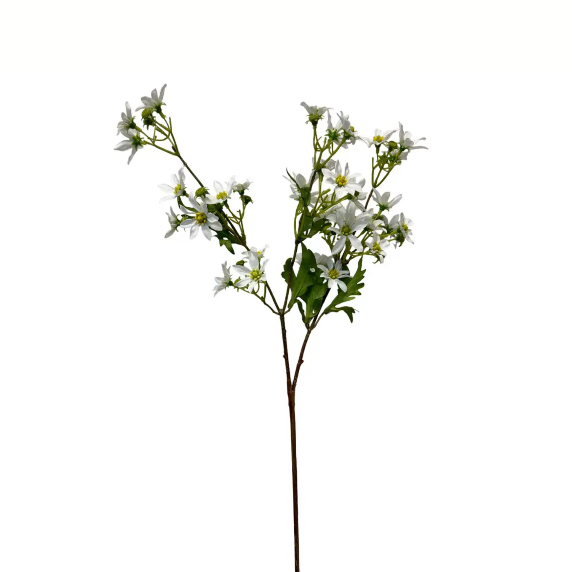 Chamomile Spray | White