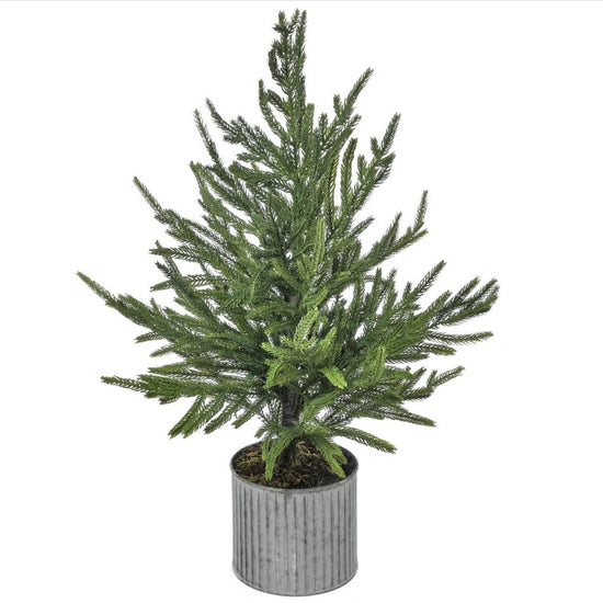 28" Potted Real Touch Norfolk Pine Tree