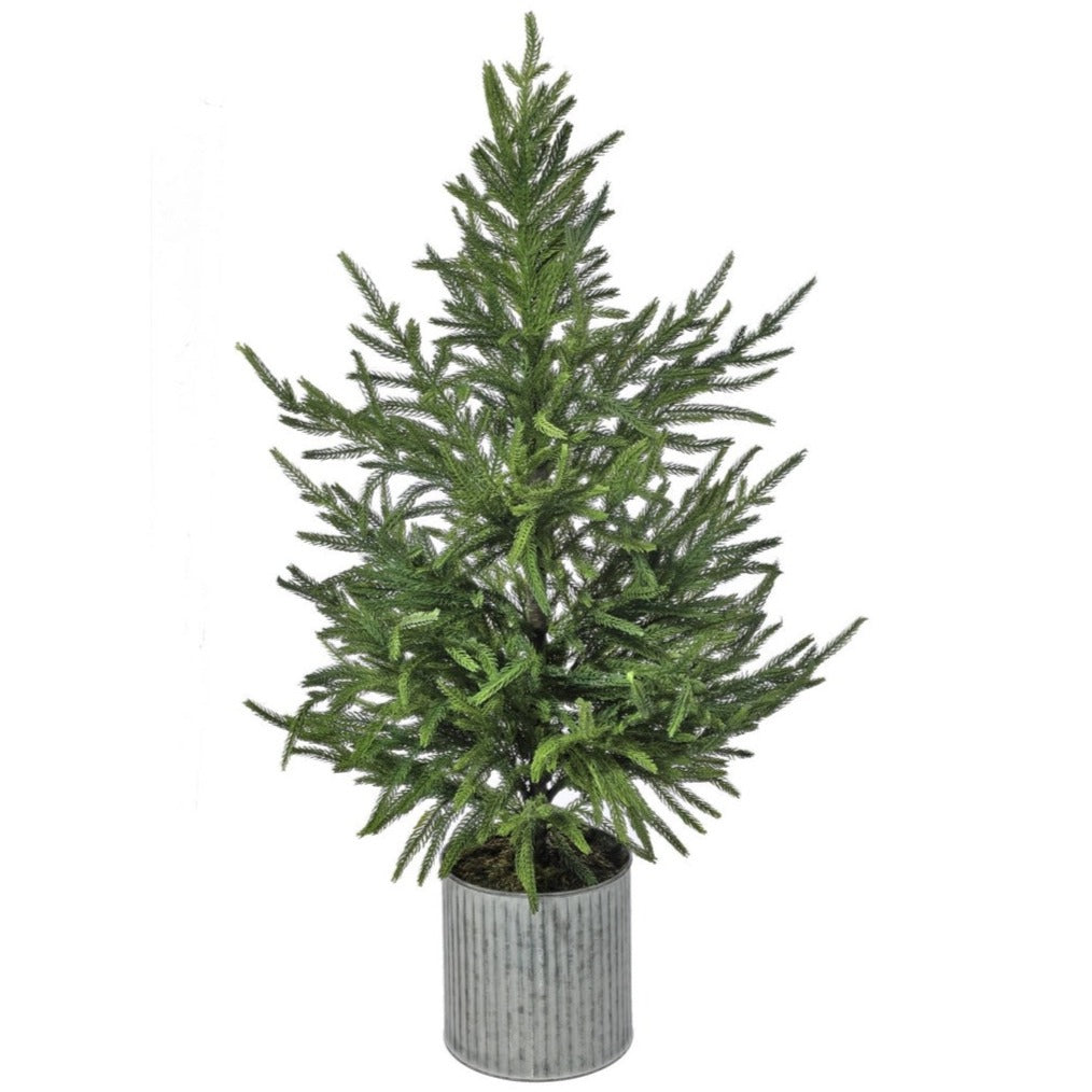 36" Potted Real Touch Norfolk Pine Tree