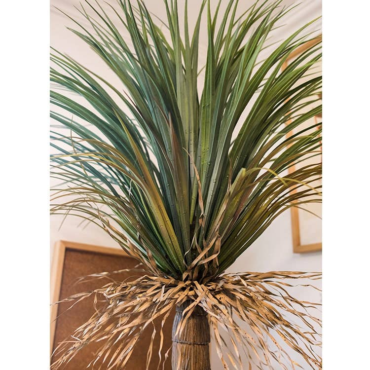 Moroccan Palm Tree | Medium