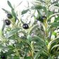 Artificial Olive Tree