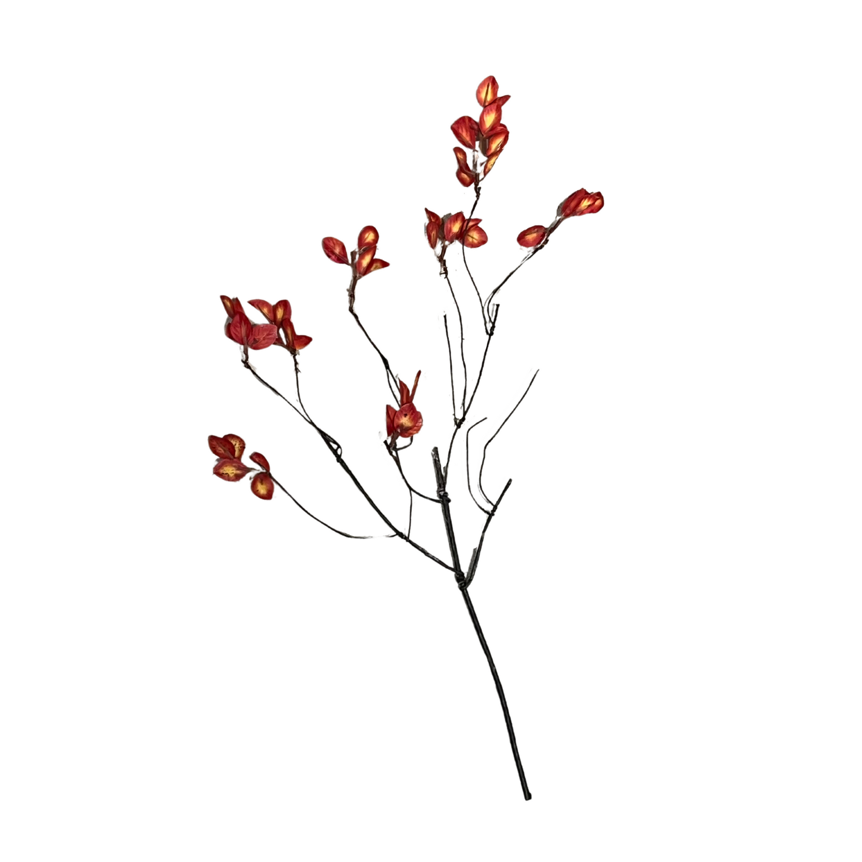 Red Vine Leaf Stem | Autumn Red