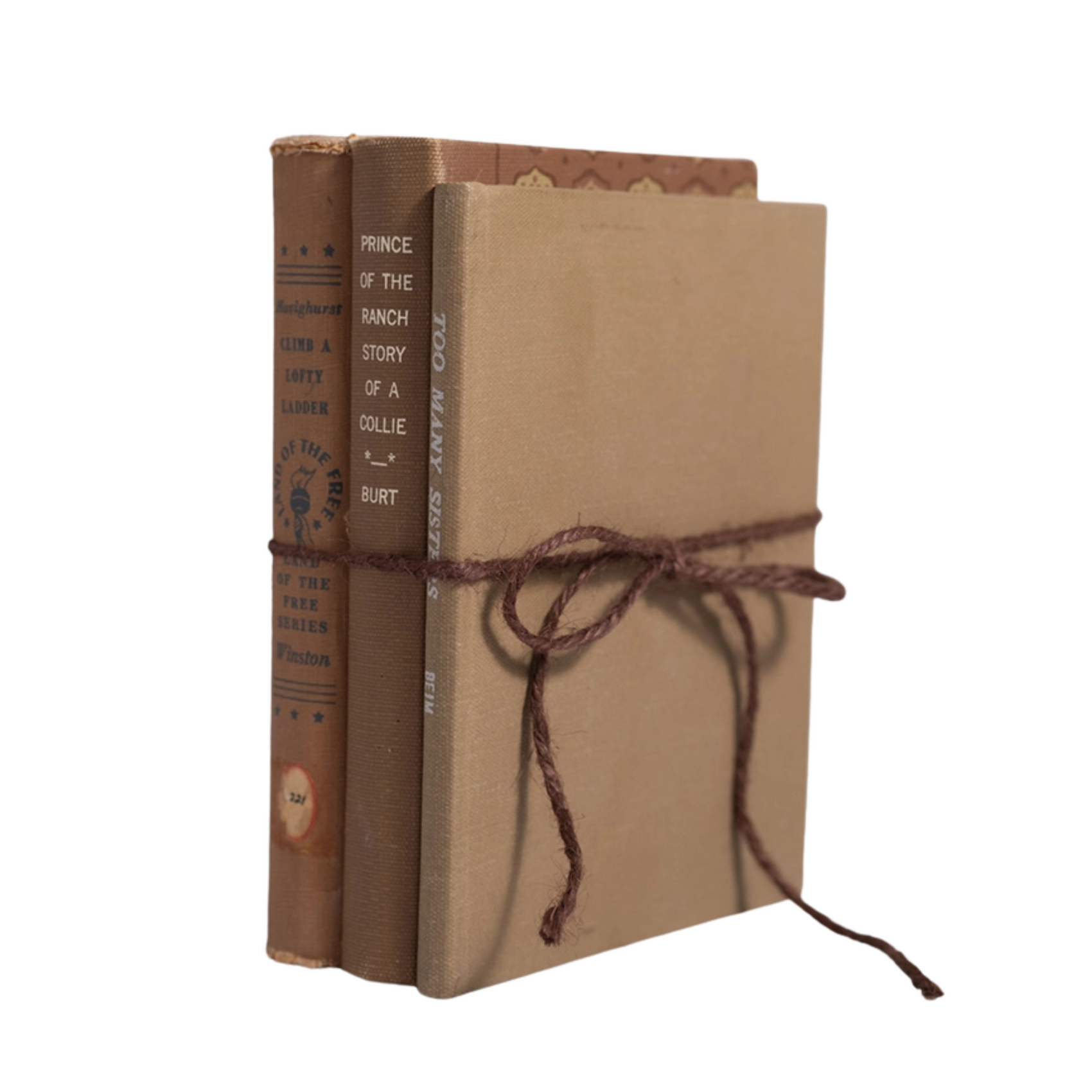 Decorative Vintage Books | Neutrals Set of 3