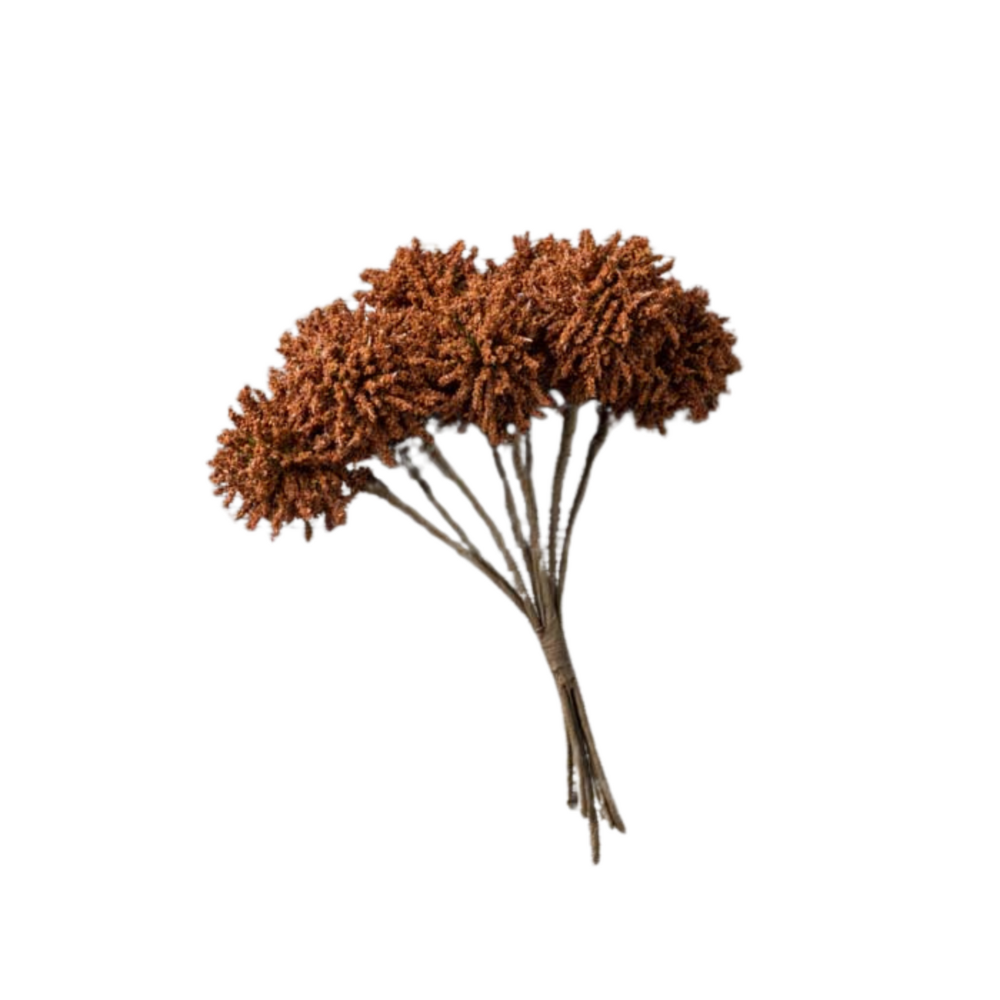 Sweetgum Bunch