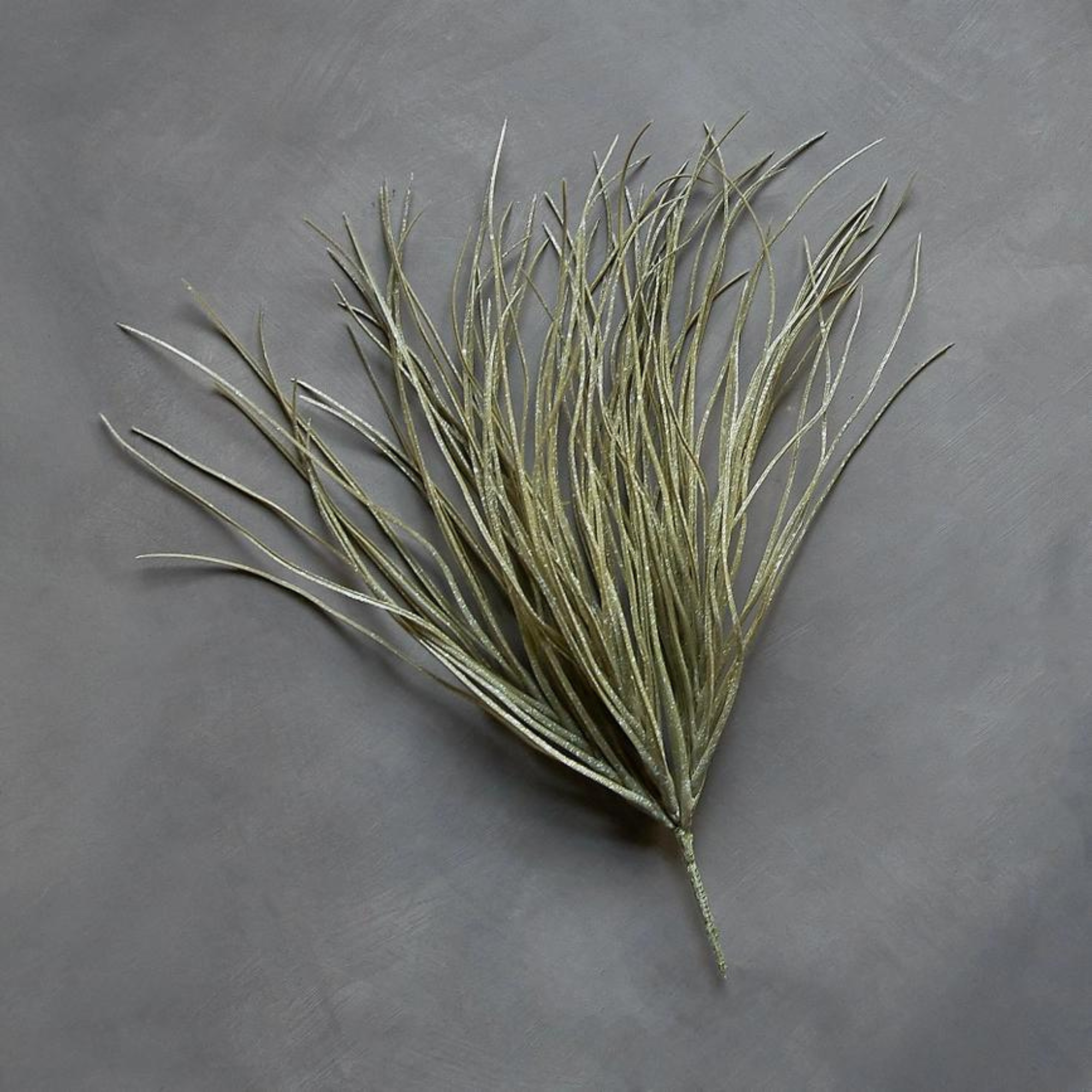 Savannah Grass Stem