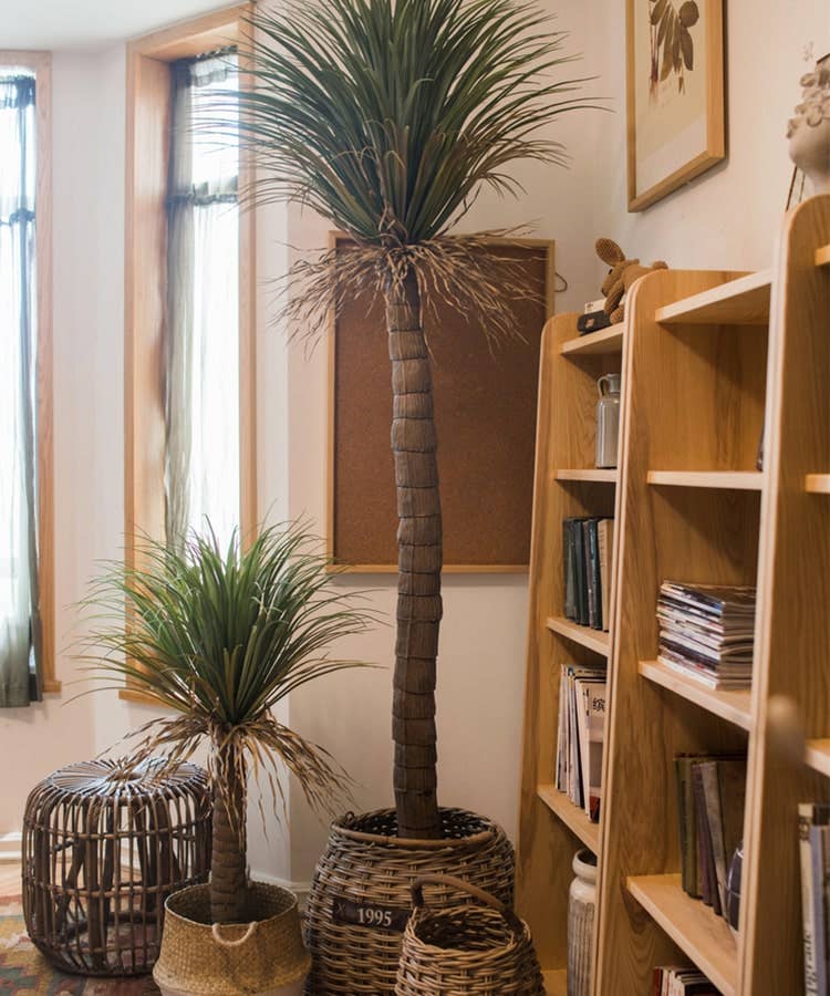 Moroccan Palm Tree | Medium