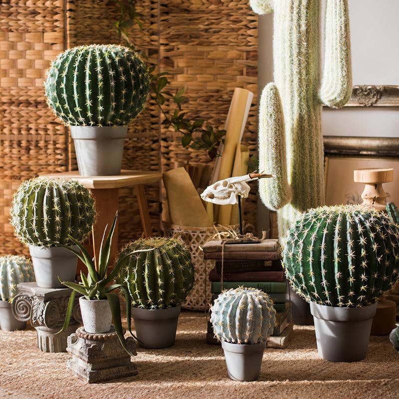 Potted Cactus Ball | Small