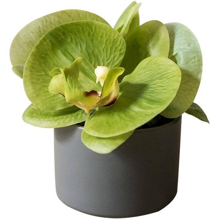 Real Touch Potted Orchid | Green