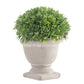 Aris 6.5" Faux Boxwood Topiary