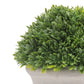 Aris 6.5" Faux Boxwood Topiary