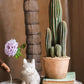 Columnar Cactus | Small