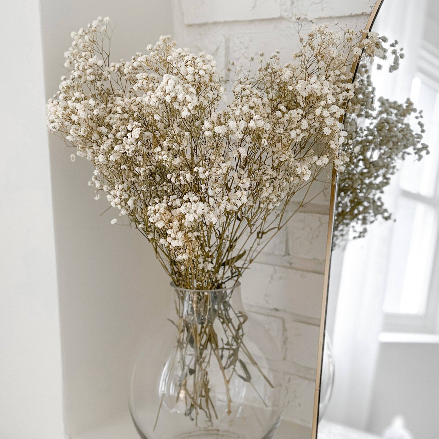 Natural Preserved Baby’s Breath