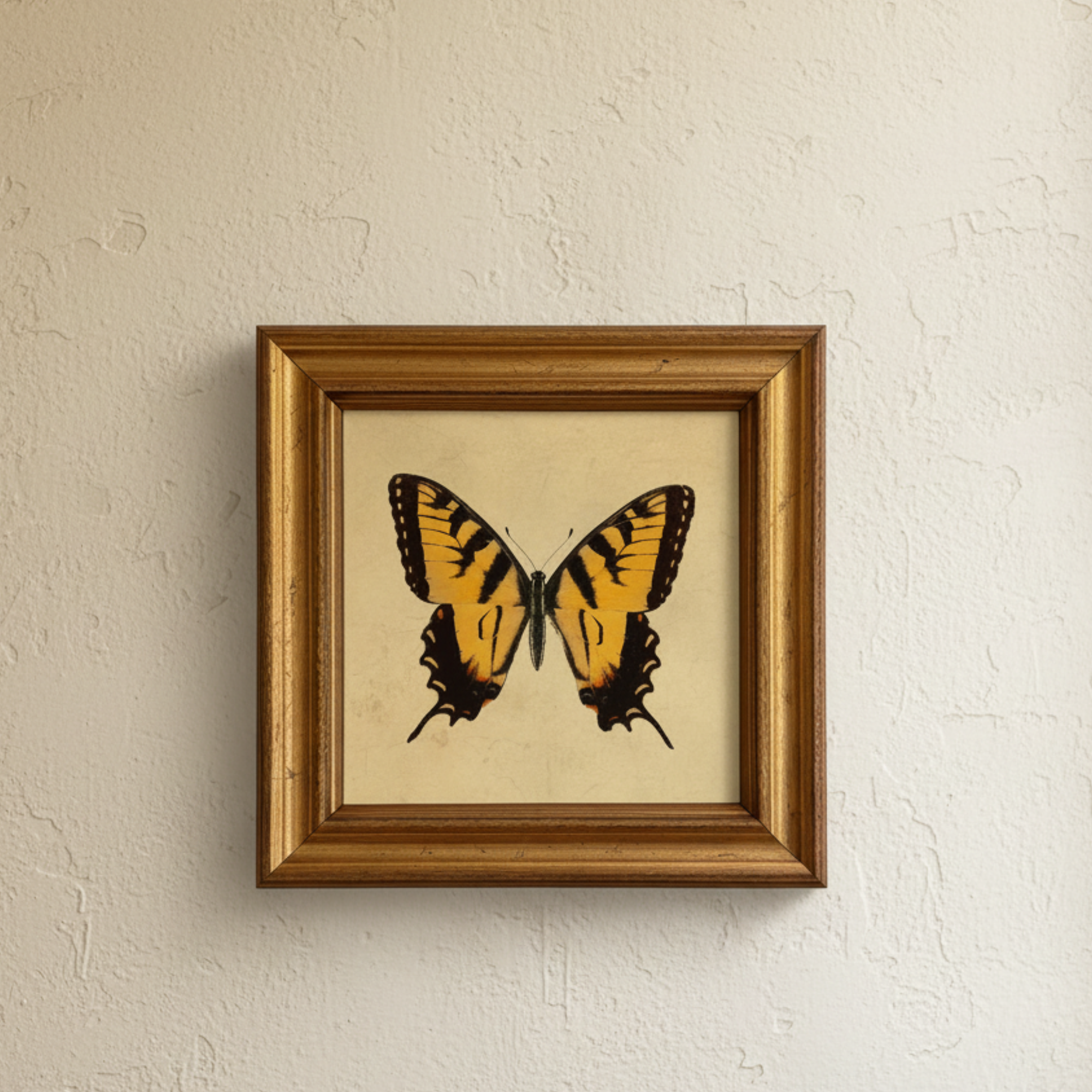 Tiger Swallowtail Butterfly Vintage Style Illustration Print