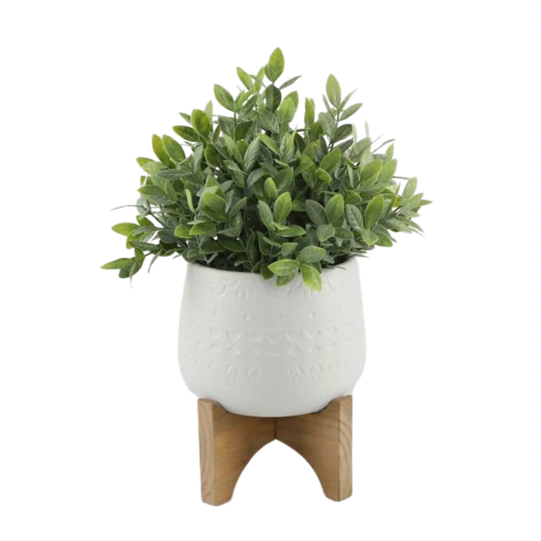 Tea-leaf in Ceramic Pot on Stand