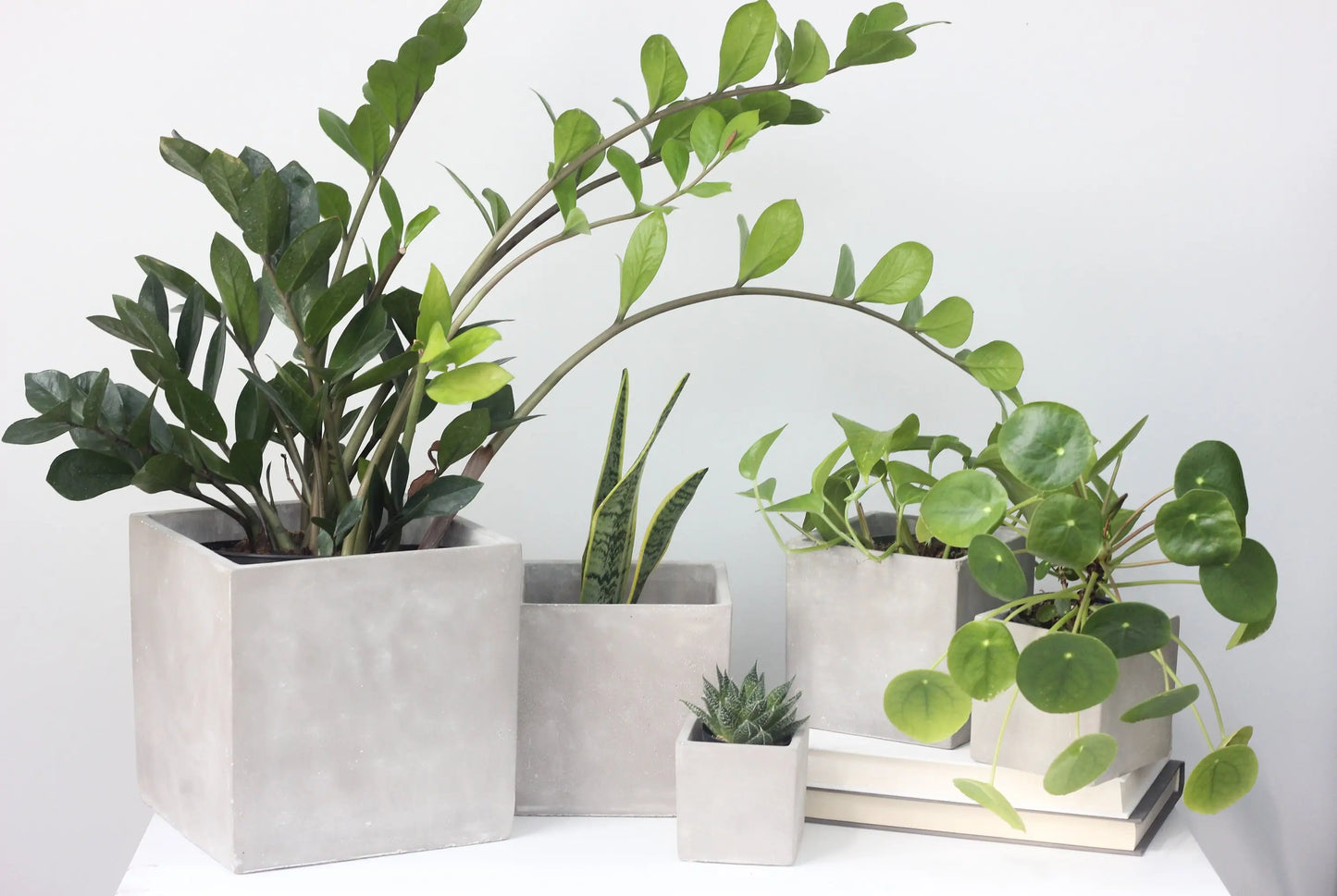 Concrete Cement Square Cube Planter Pot | 6"