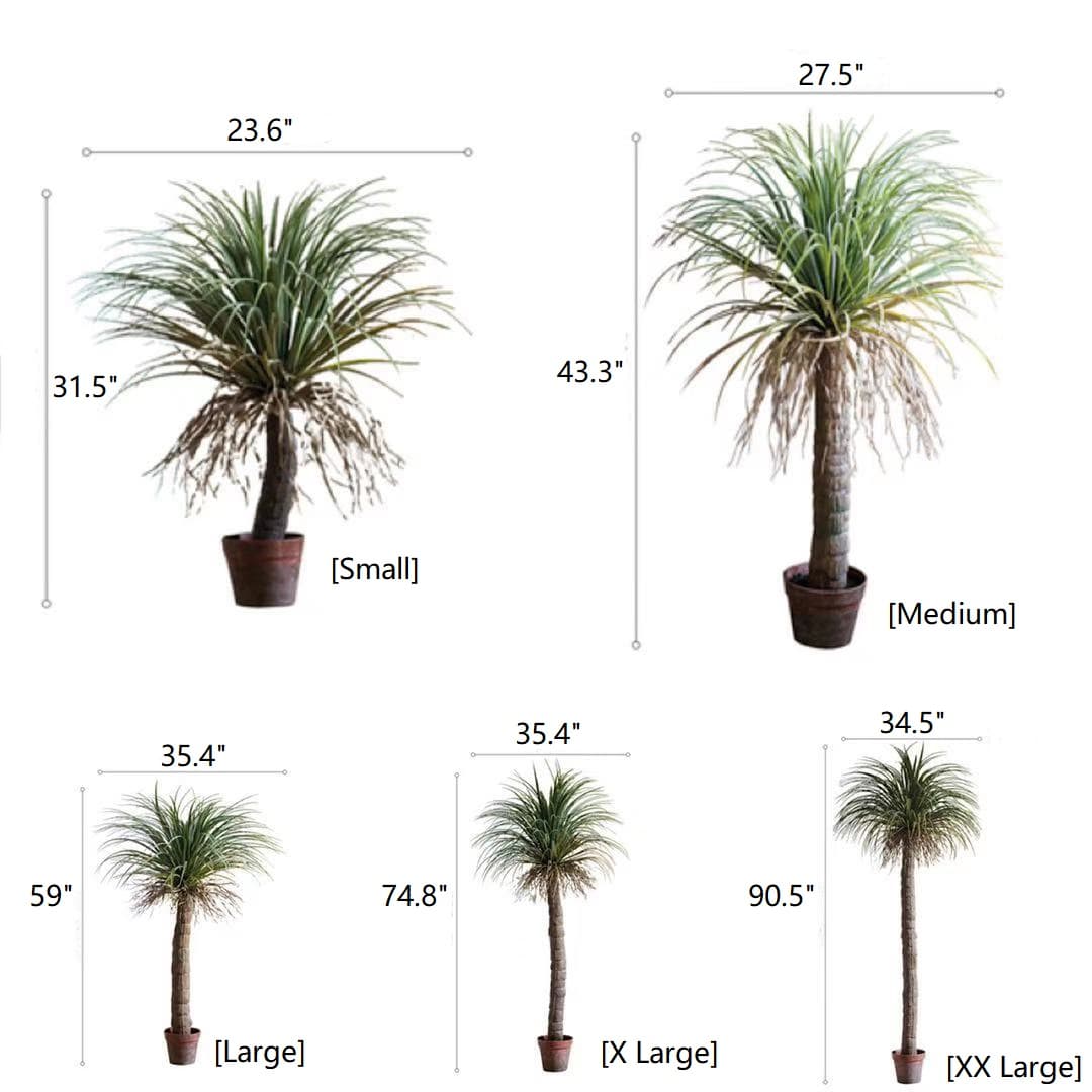 Moroccan Palm Tree | Medium