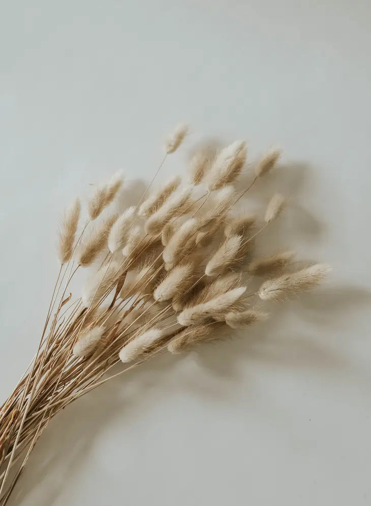 Bunny Tails