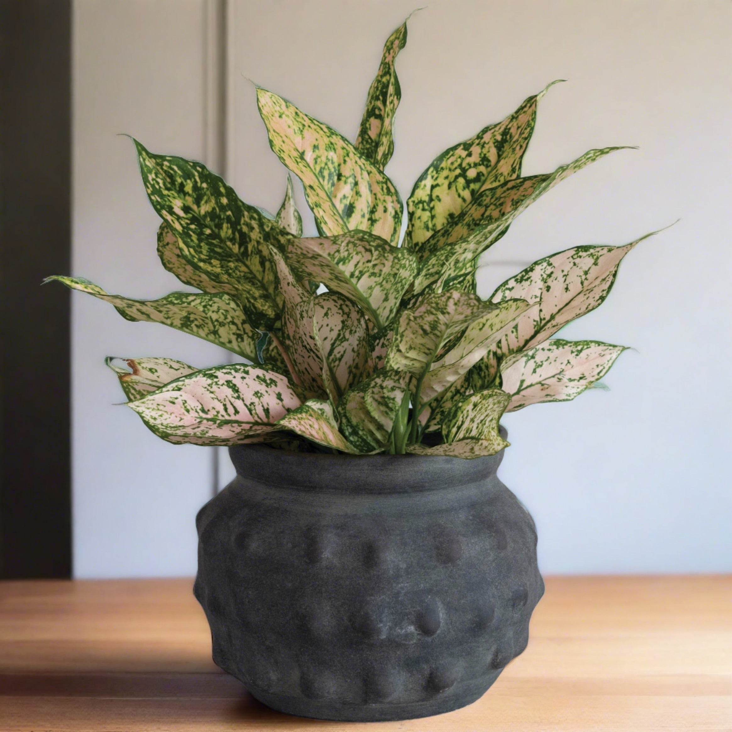 Terracotta Vase | Matte Black