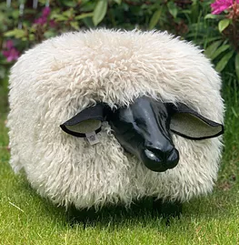 Sheep Footstool | Curly 'Oyster' Black Nose