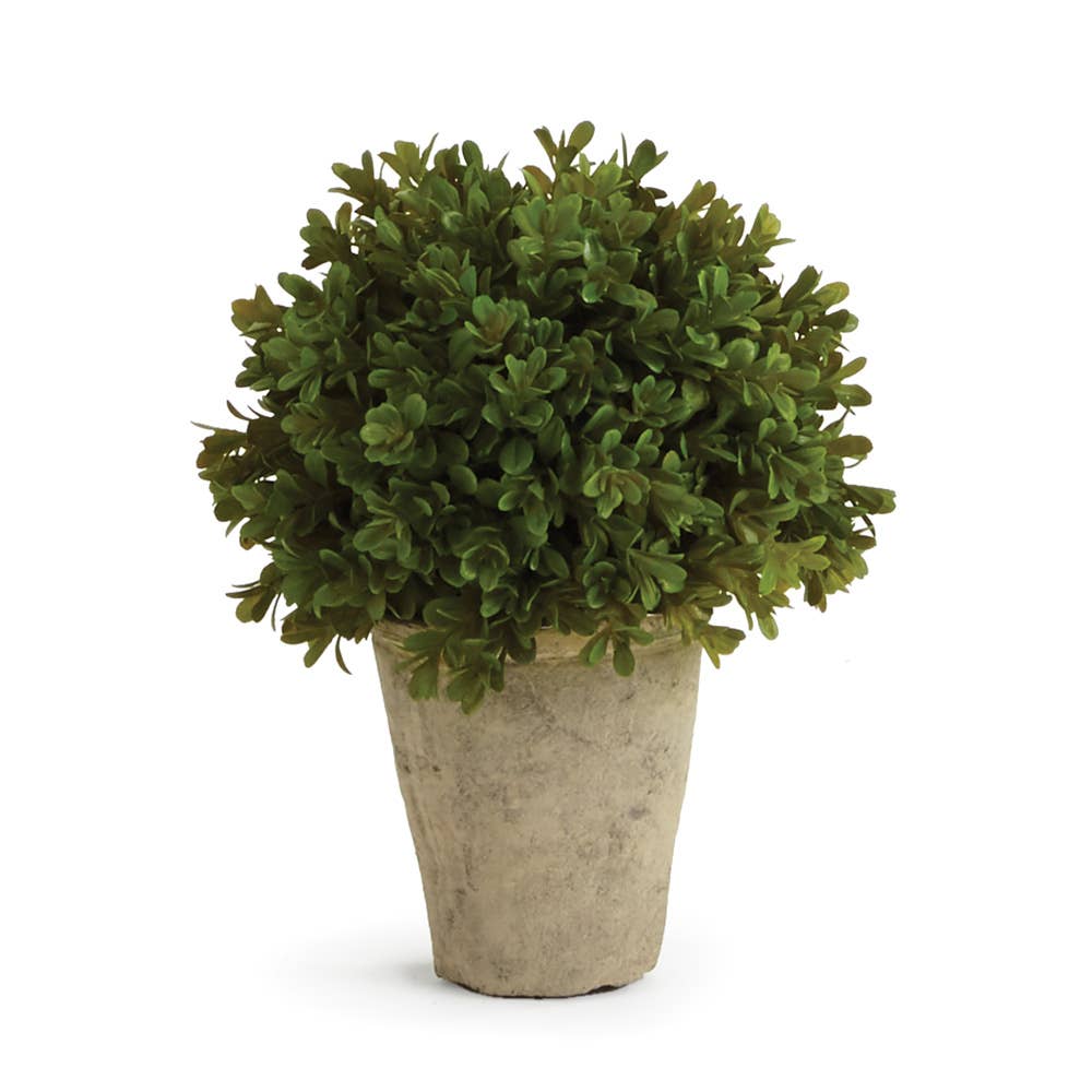 Barclay Butera Faux Boxwood Shrub Potted