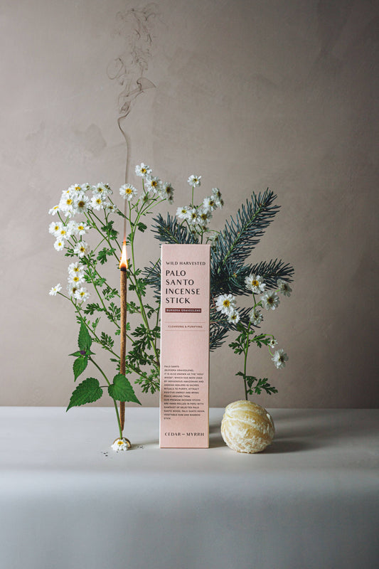 Palo Santo Hand-Rolled Incense Stick