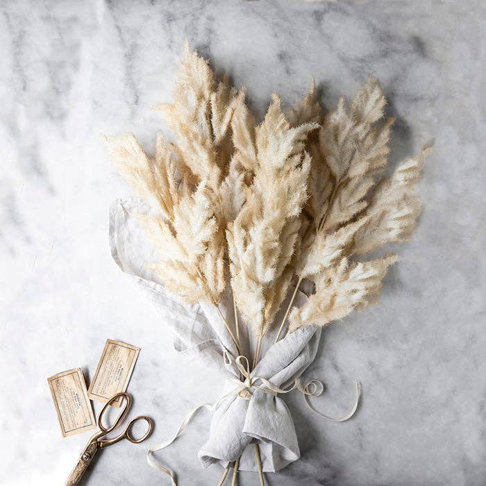 Fern Stem | Cream