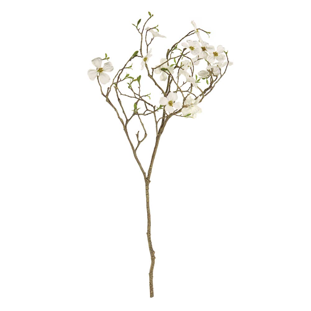 Dogwood Blossom Branch