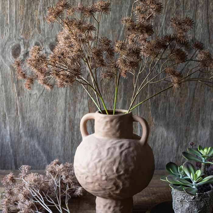 Hazel Stem