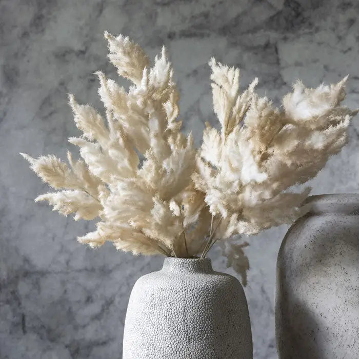 Fern Stem | Cream