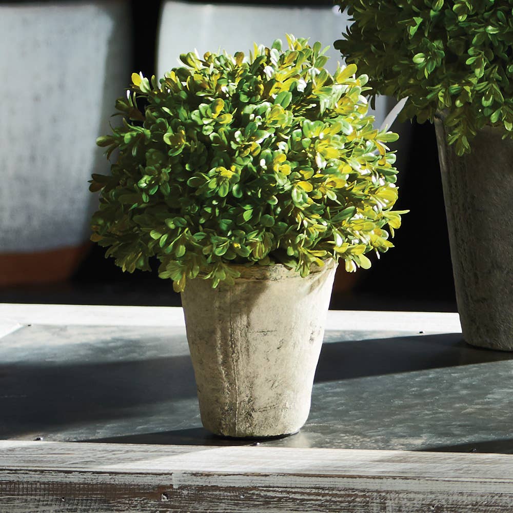 Barclay Butera Faux Boxwood Shrub Potted