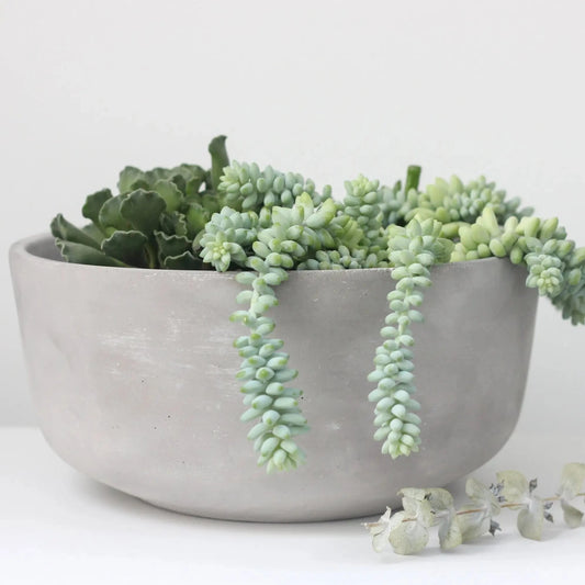 Minimalist Decor Round Concrete Bowl