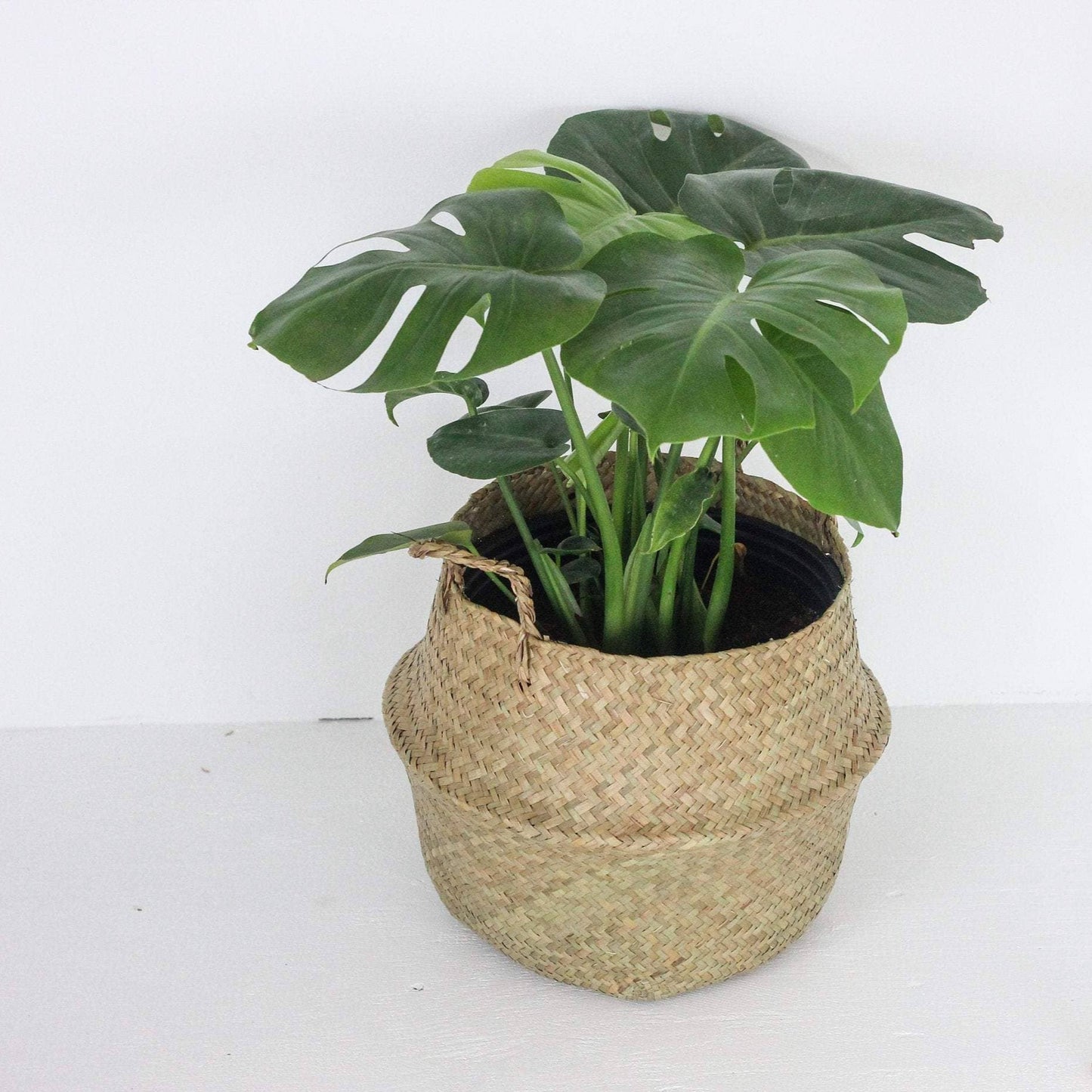 Woven Seagrass Belly Basket/Planter | 12"